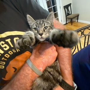 Meet your Posher, Jocelyn